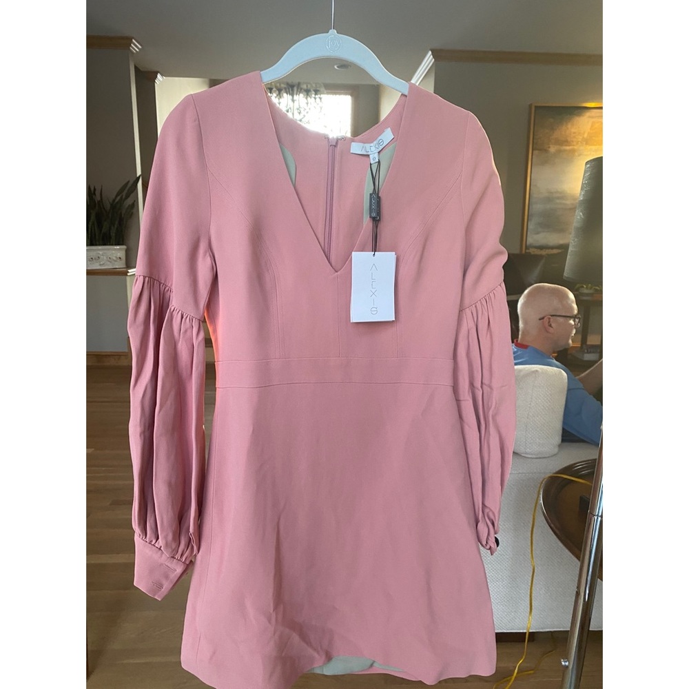 Alexie Ellena dress